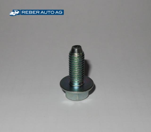Schraube Türscharnier an Auto 01-05