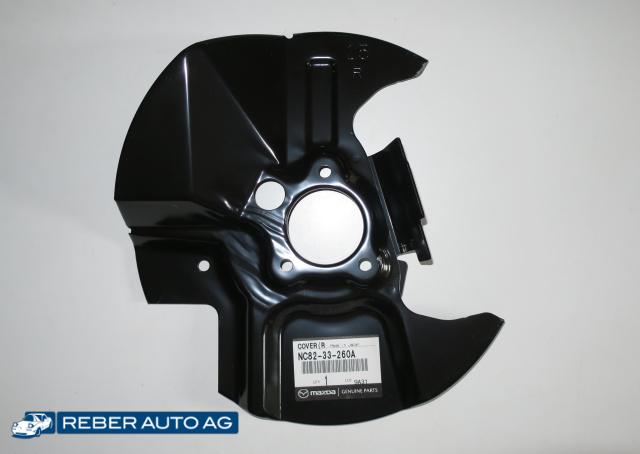 Bremsschild vorne rechts 270mm 01-05