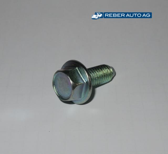 Schraube Türscharnier an Auto 01-05