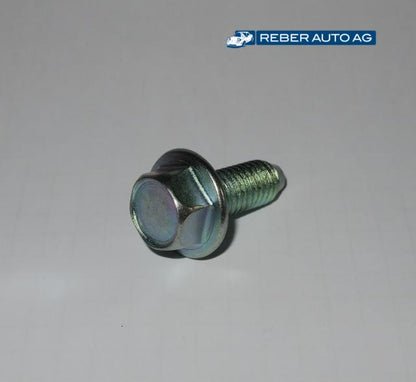 Schraube Türscharnier an Auto 01-05